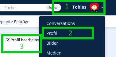 Bildschirmfoto das einen Ausschnitt eines Friendica Profils zeigt auf dem die drei angesprochenen Schritte farblich markiert sind
